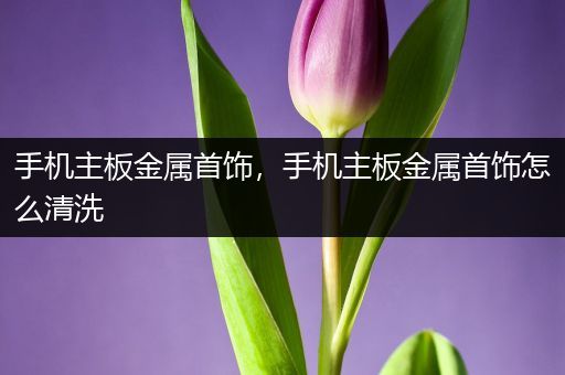 手机主板金属首饰，手机主板金属首饰怎么清洗