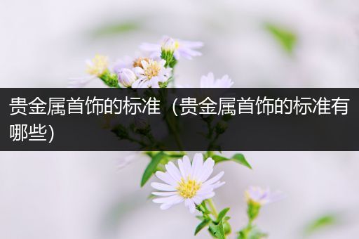贵金属首饰的标准（贵金属首饰的标准有哪些）