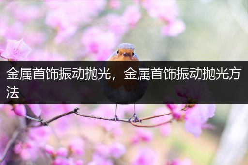 金属首饰振动抛光，金属首饰振动抛光方法