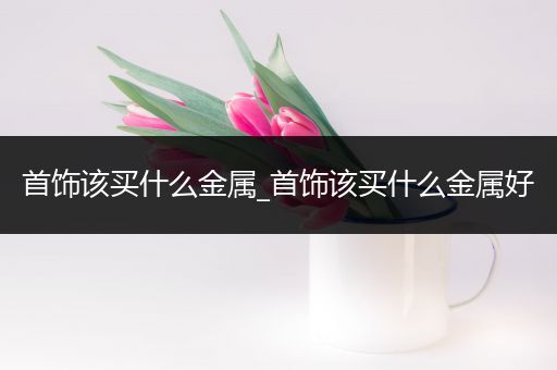 首饰该买什么金属_首饰该买什么金属好