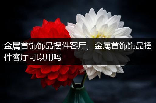 金属首饰饰品摆件客厅，金属首饰饰品摆件客厅可以用吗