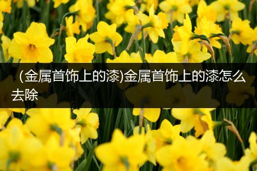 （金属首饰上的漆)金属首饰上的漆怎么去除