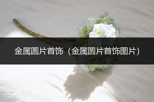 金属圆片首饰（金属圆片首饰图片）