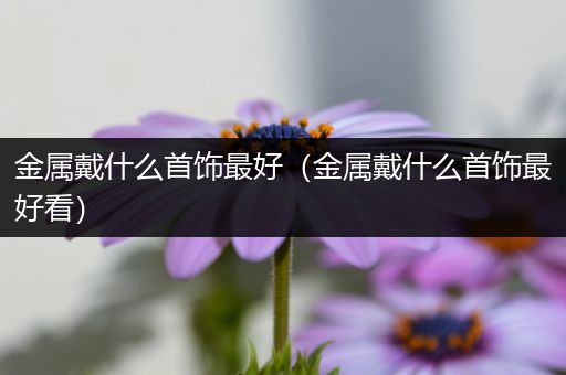 金属戴什么首饰最好（金属戴什么首饰最好看）