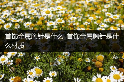 首饰金属胸针是什么_首饰金属胸针是什么材质