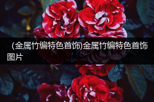 （金属竹编特色首饰)金属竹编特色首饰图片