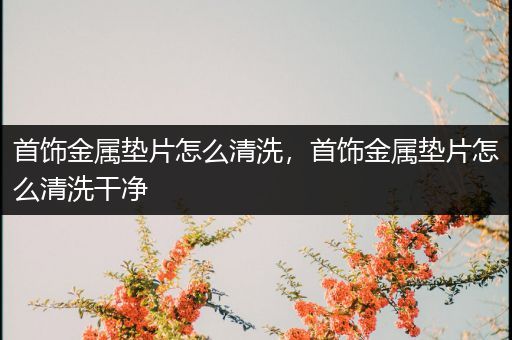 首饰金属垫片怎么清洗，首饰金属垫片怎么清洗干净