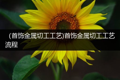 （首饰金属切工工艺)首饰金属切工工艺流程