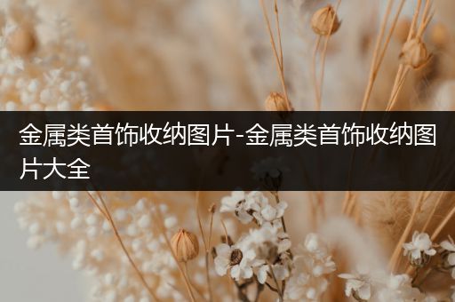 金属类首饰收纳图片-金属类首饰收纳图片大全