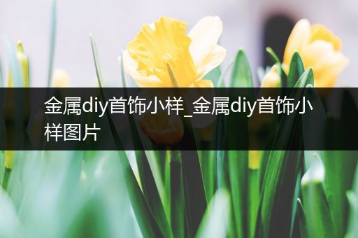 金属diy首饰小样_金属diy首饰小样图片