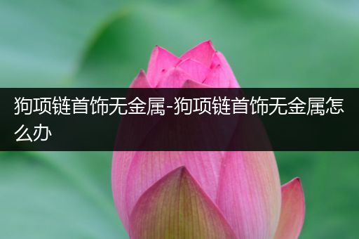 狗项链首饰无金属-狗项链首饰无金属怎么办