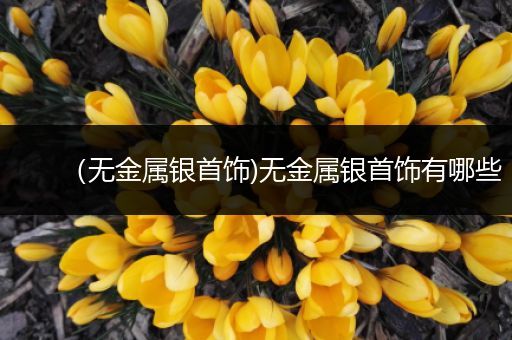 （无金属银首饰)无金属银首饰有哪些