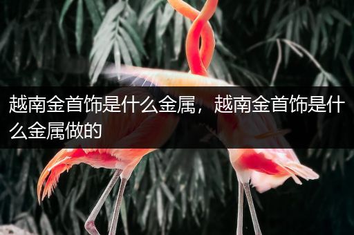 越南金首饰是什么金属，越南金首饰是什么金属做的