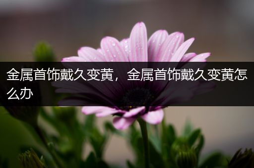 金属首饰戴久变黄，金属首饰戴久变黄怎么办