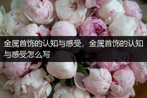 金属首饰的认知与感受，金属首饰的认知与感受怎么写