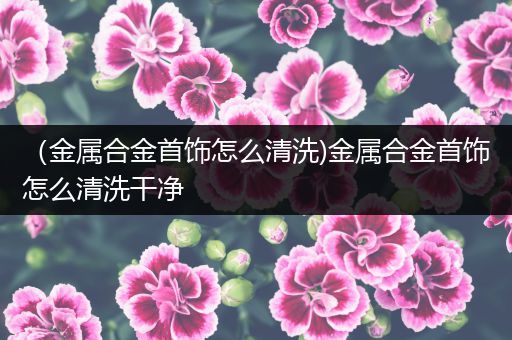 （金属合金首饰怎么清洗)金属合金首饰怎么清洗干净