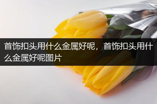 首饰扣头用什么金属好呢，首饰扣头用什么金属好呢图片