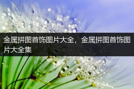 金属拼图首饰图片大全，金属拼图首饰图片大全集