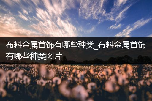 布料金属首饰有哪些种类_布料金属首饰有哪些种类图片