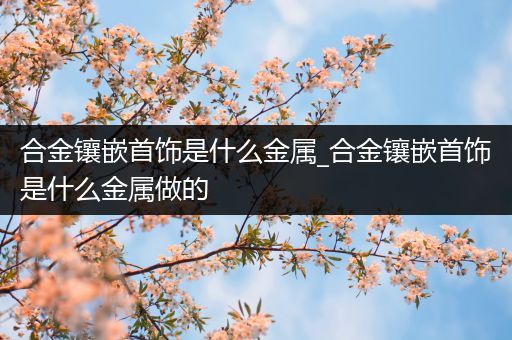 合金镶嵌首饰是什么金属_合金镶嵌首饰是什么金属做的