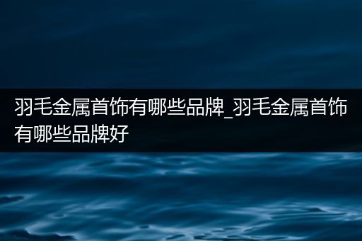 羽毛金属首饰有哪些品牌_羽毛金属首饰有哪些品牌好