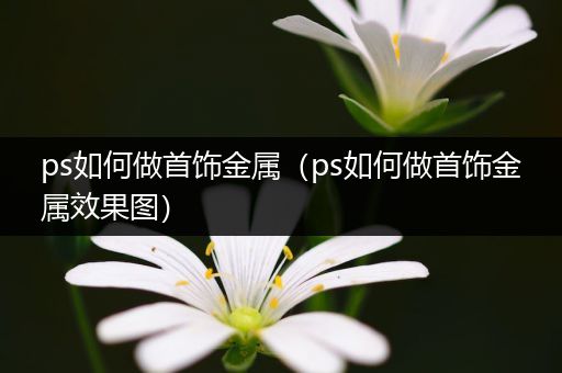 ps如何做首饰金属（ps如何做首饰金属效果图）