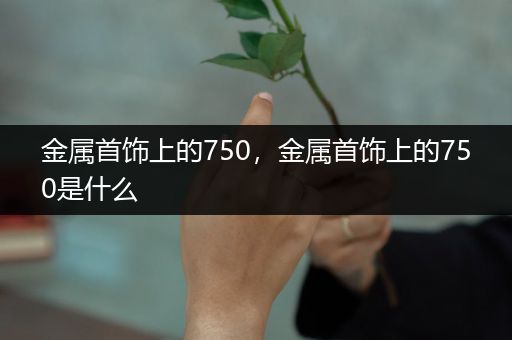 金属首饰上的750，金属首饰上的750是什么