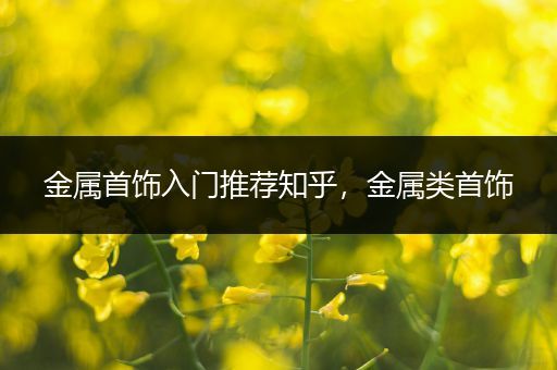 金属首饰入门推荐知乎，金属类首饰