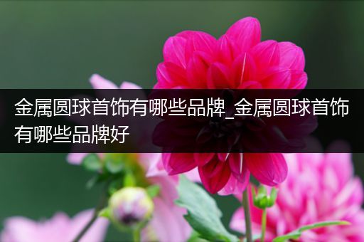 金属圆球首饰有哪些品牌_金属圆球首饰有哪些品牌好