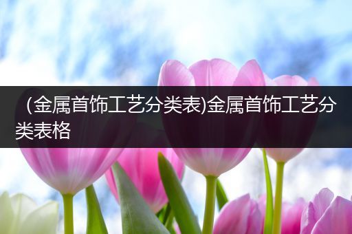 （金属首饰工艺分类表)金属首饰工艺分类表格