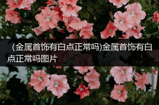 （金属首饰有白点正常吗)金属首饰有白点正常吗图片