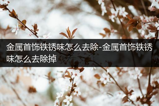 金属首饰铁锈味怎么去除-金属首饰铁锈味怎么去除掉