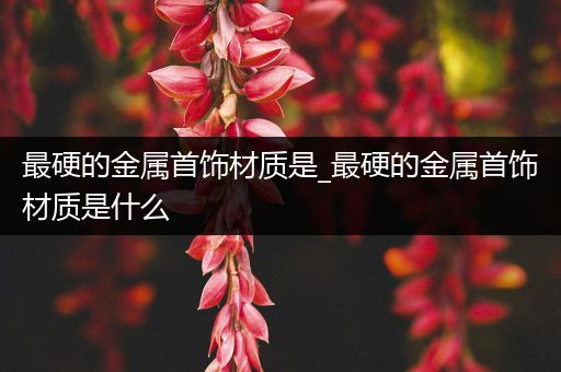 最硬的金属首饰材质是_最硬的金属首饰材质是什么