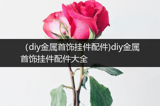 （diy金属首饰挂件配件)diy金属首饰挂件配件大全