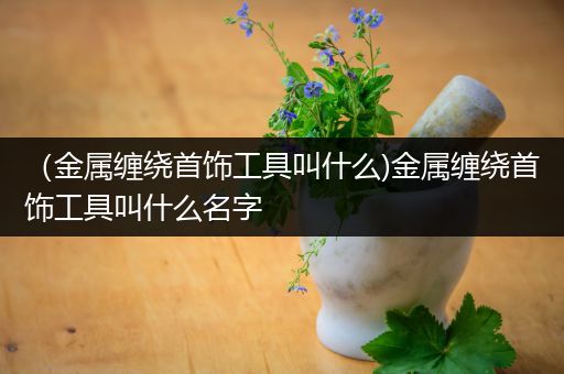 （金属缠绕首饰工具叫什么)金属缠绕首饰工具叫什么名字
