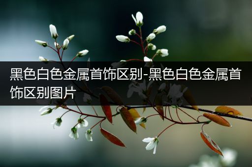 黑色白色金属首饰区别-黑色白色金属首饰区别图片