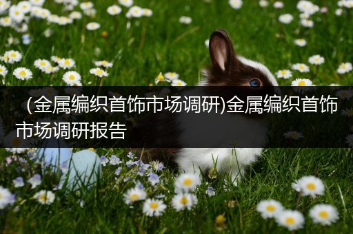 （金属编织首饰市场调研)金属编织首饰市场调研报告