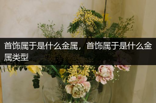 首饰属于是什么金属，首饰属于是什么金属类型