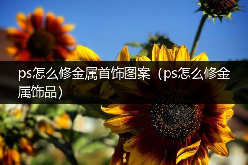 ps怎么修金属首饰图案（ps怎么修金属饰品）