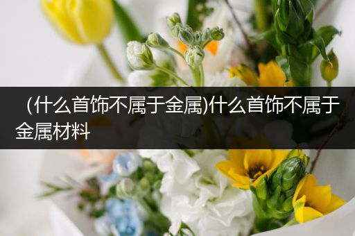 （什么首饰不属于金属)什么首饰不属于金属材料