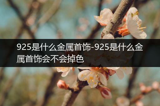 925是什么金属首饰-925是什么金属首饰会不会掉色