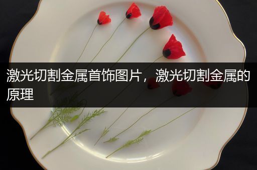 激光切割金属首饰图片，激光切割金属的原理