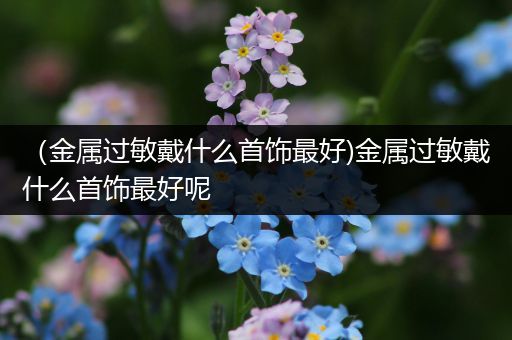 （金属过敏戴什么首饰最好)金属过敏戴什么首饰最好呢
