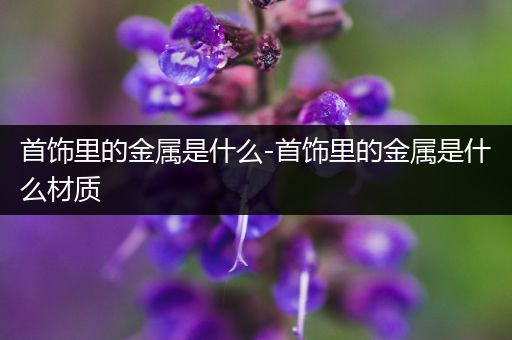 首饰里的金属是什么-首饰里的金属是什么材质