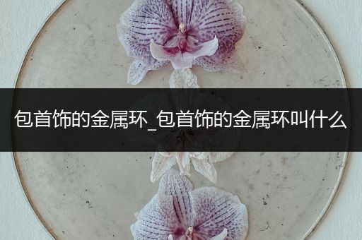 包首饰的金属环_包首饰的金属环叫什么