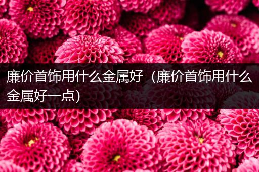 廉价首饰用什么金属好（廉价首饰用什么金属好一点）