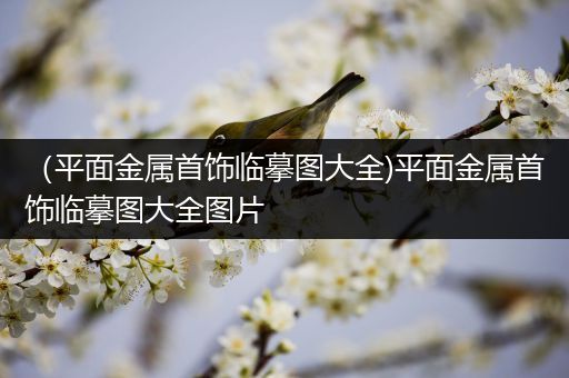 （平面金属首饰临摹图大全)平面金属首饰临摹图大全图片
