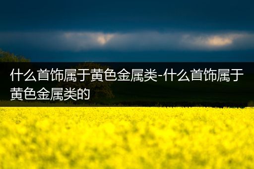 什么首饰属于黄色金属类-什么首饰属于黄色金属类的