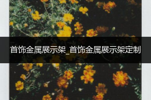 首饰金属展示架_首饰金属展示架定制