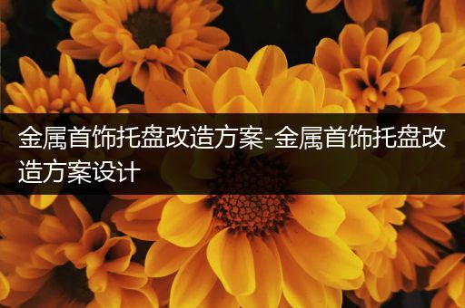 金属首饰托盘改造方案-金属首饰托盘改造方案设计